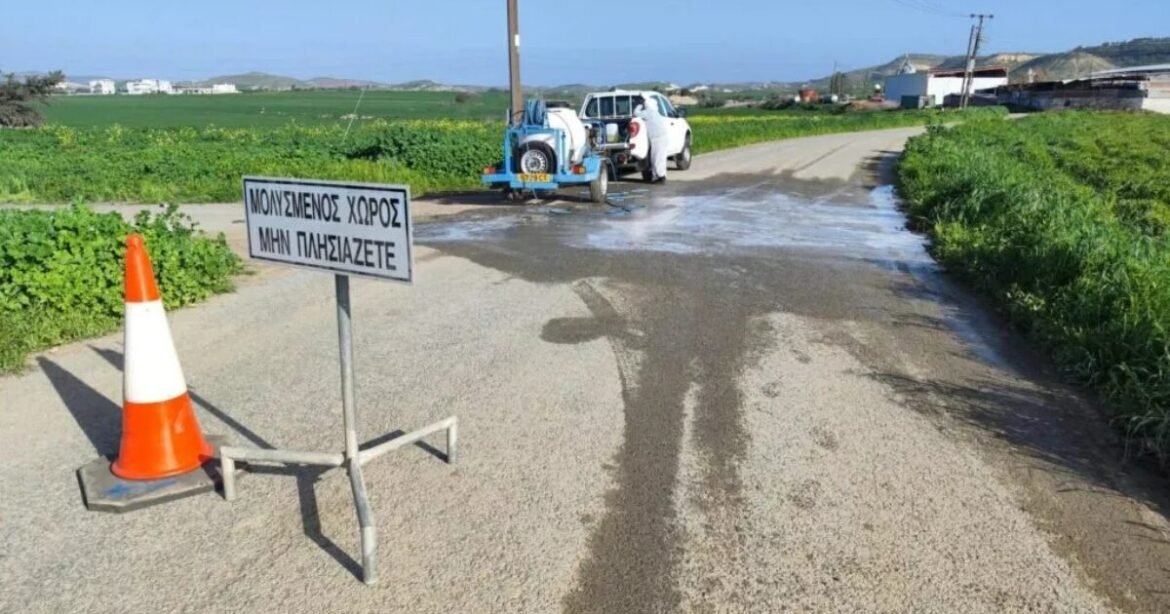 Ξέφυγε ο αφθώδης πυρετός στην Κύπρο – Συνολικά 41 οι μολυσμένες κτηνοτροφικές μονάδες