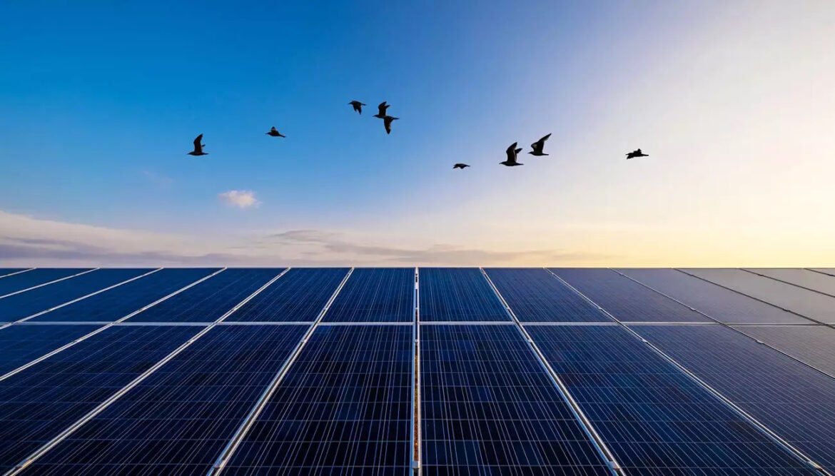 Γιατί απέτυχε ο διαγωνισμός για τις ΑΠΕ του προγράμματος Απόλλων, που έχουν στόχο φθηνότερο ηλεκτρικό ρεύμα για ευάλωτους καταναλωτές