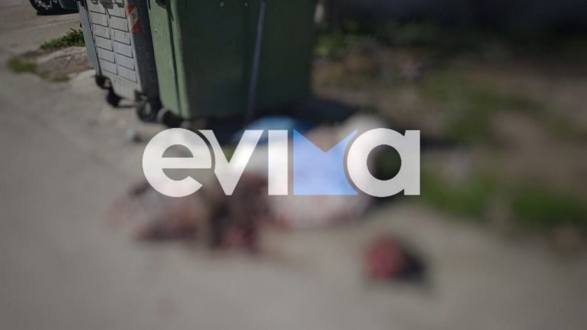 Σοκ στην Εύβοια: Πέταξαν σφαγμένο ζώο στα σκουπίδια