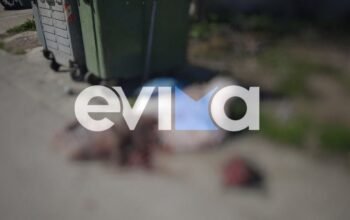 Σοκ στην Εύβοια: Πέταξαν σφαγμένο ζώο στα σκουπίδια