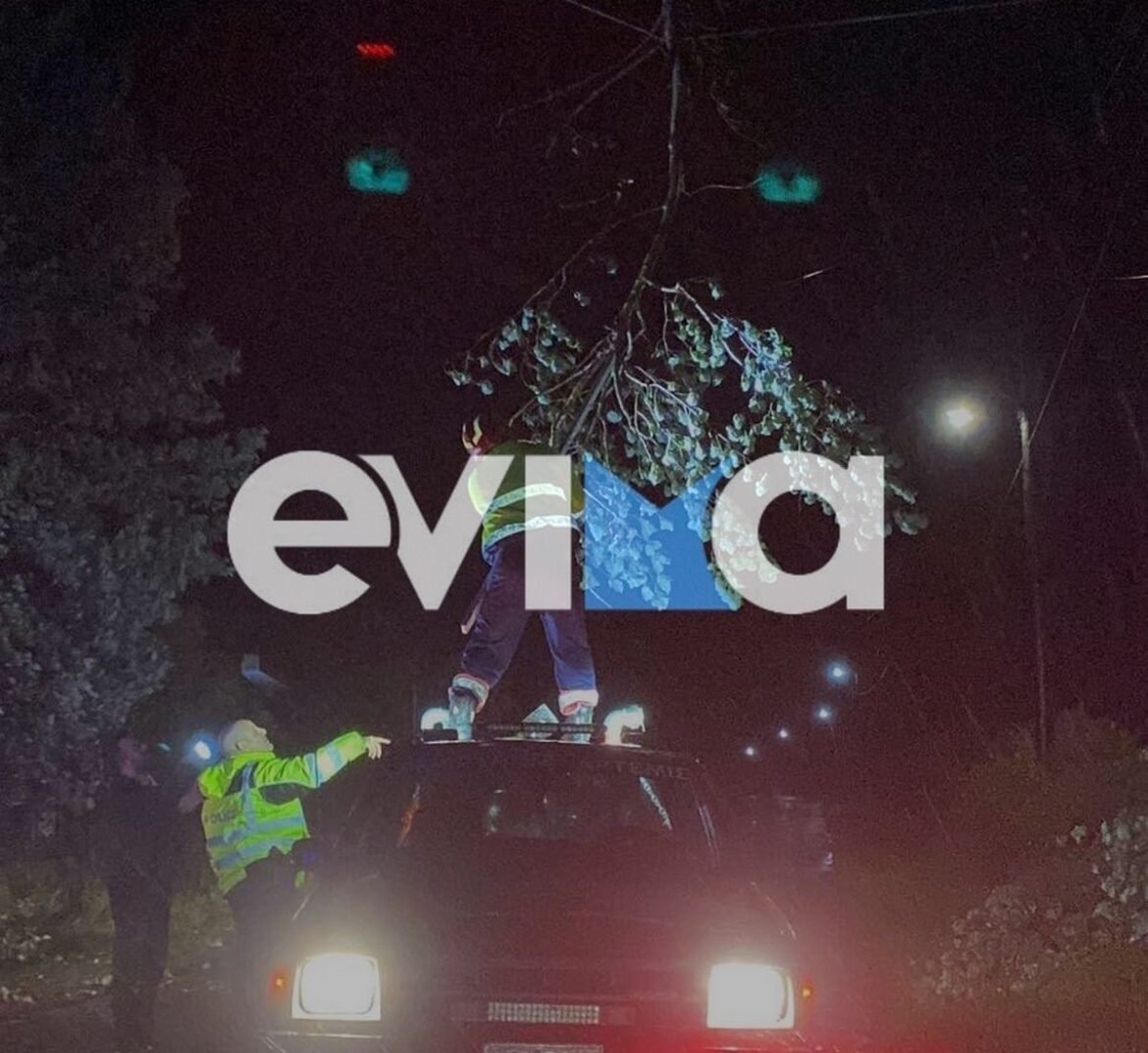 Κακοκαιρία Erminio στην Εύβοια: Πτώσεις δέντρων σε κεντρικούς δρόμους – Δείτε φωτογραφίες και βίντεο