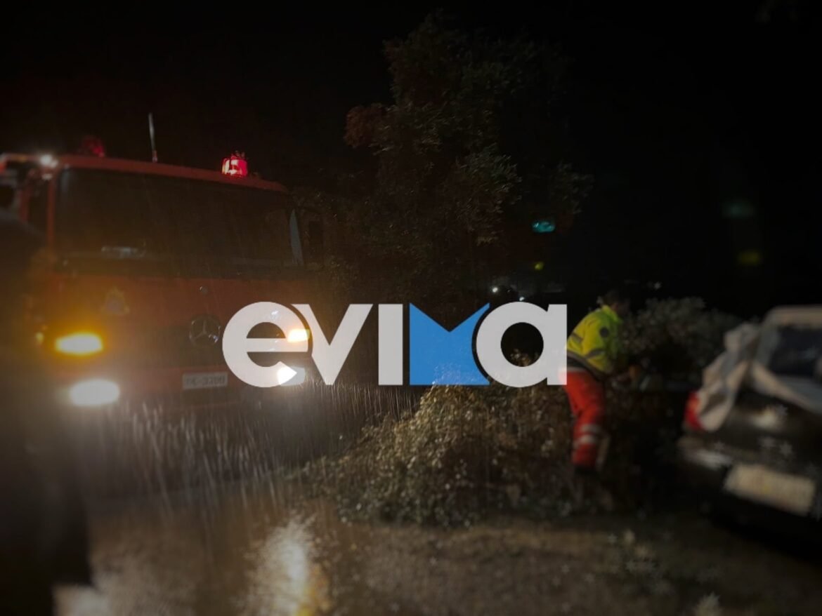 Εύβοια – κακοκαιρία «Erminio»: Δέντρο καταπλάκωσε αυτοκίνητο – Δείτε φωτογραφίες