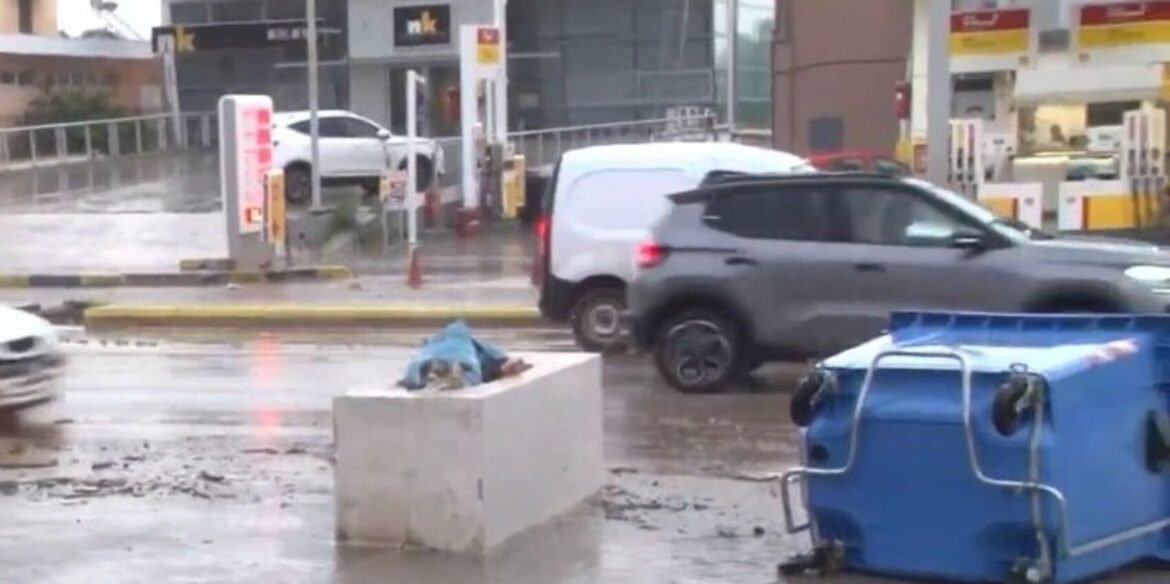 Κακοκαιρία Erminio: Δέντρα ξεριζώθηκαν και έπεσαν σε πιλοτές σπιτιών στην Άνω Γλυφάδα – Ιδιοκτήτης