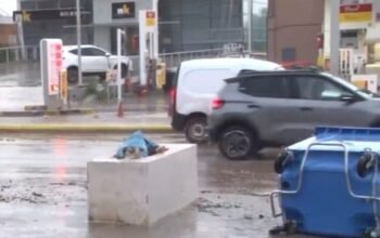 Κακοκαιρία Erminio: Δέντρα ξεριζώθηκαν και έπεσαν σε πιλοτές σπιτιών στην Άνω Γλυφάδα – Ιδιοκτήτης