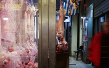 Πάσχα 2026: Ανεβάζει το θερμόμετρο στην αγορά το αρνί ενώ εντείνονται οι έλεγχοι – Πού θα φτάσουν οι τιμές