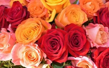 Εορτολόγιο: Ποιοι γιορτάζουν σήμερα 7 Απριλίου