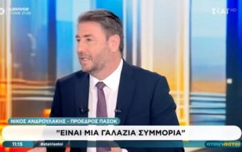 Ανδρουλάκης για ΟΠΕΚΕΠΕ και κυβέρνηση: «Οργανώνεται ένα σχέδιο απαξίωσης των ευρωπαϊκών θεσμών»