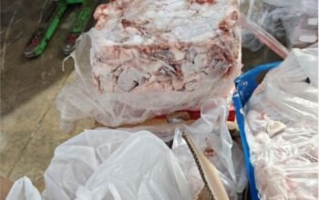 Κατασχέθηκαν 11 τόνοι ακατάλληλων κρεάτων ενόψει Πάσχα: Επιβλήθηκαν πρόστιμα ύψους 245.000 ευρώ – Δείτε