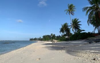 H πιο παχύσαρκη χώρα του κόσμου δεν είναι αυτή που πιστεύετε