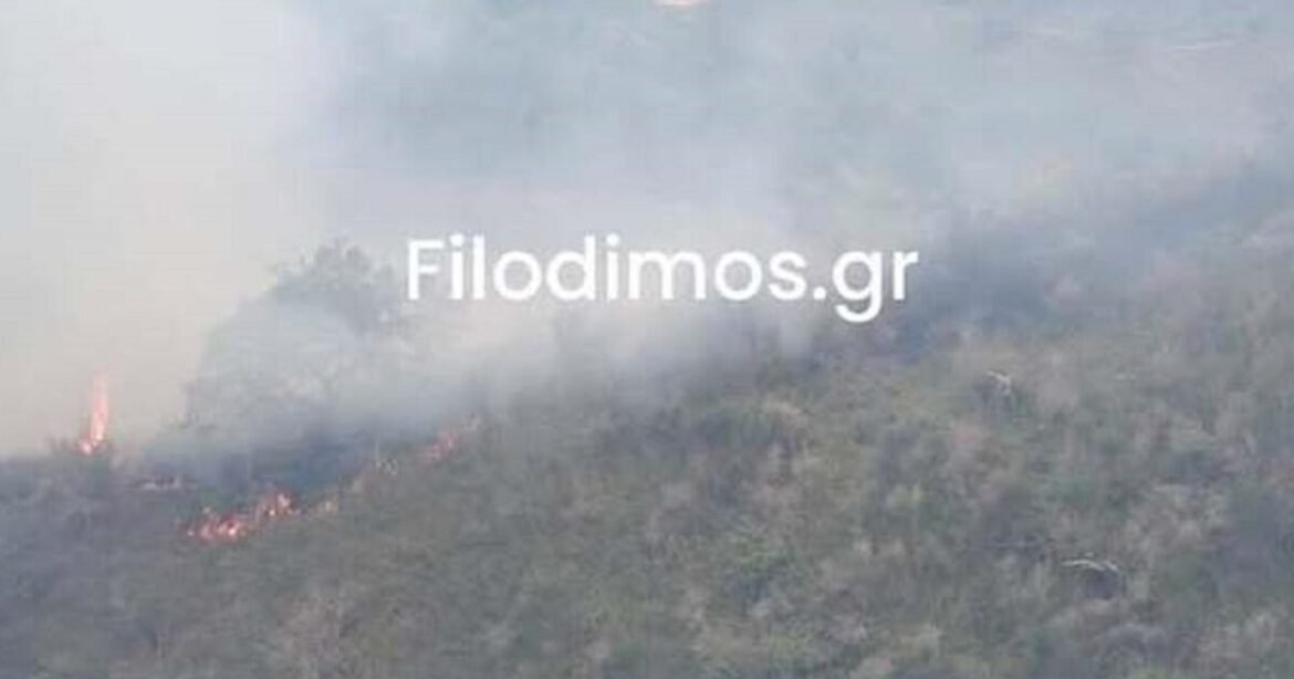 Φωτιά στο Αίγιο σε ορεινή περιοχή κοντά στο χωριό Αρραβωνίτσα