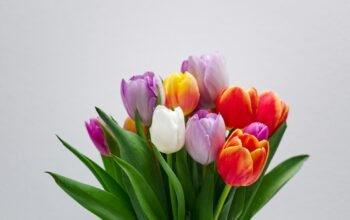 Εορτολόγιο: Ποιοι γιορτάζουν σήμερα 18 Απριλίου