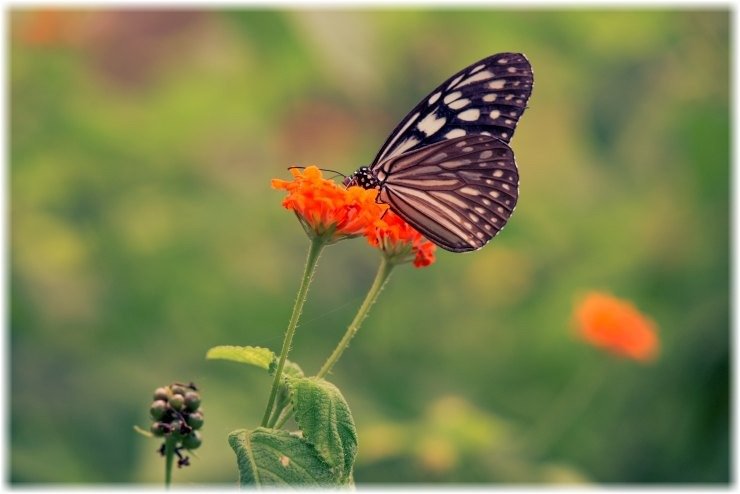 Το βαθύ «μάθημα ζωής» πίσω από τη Θεωρία του Χάους