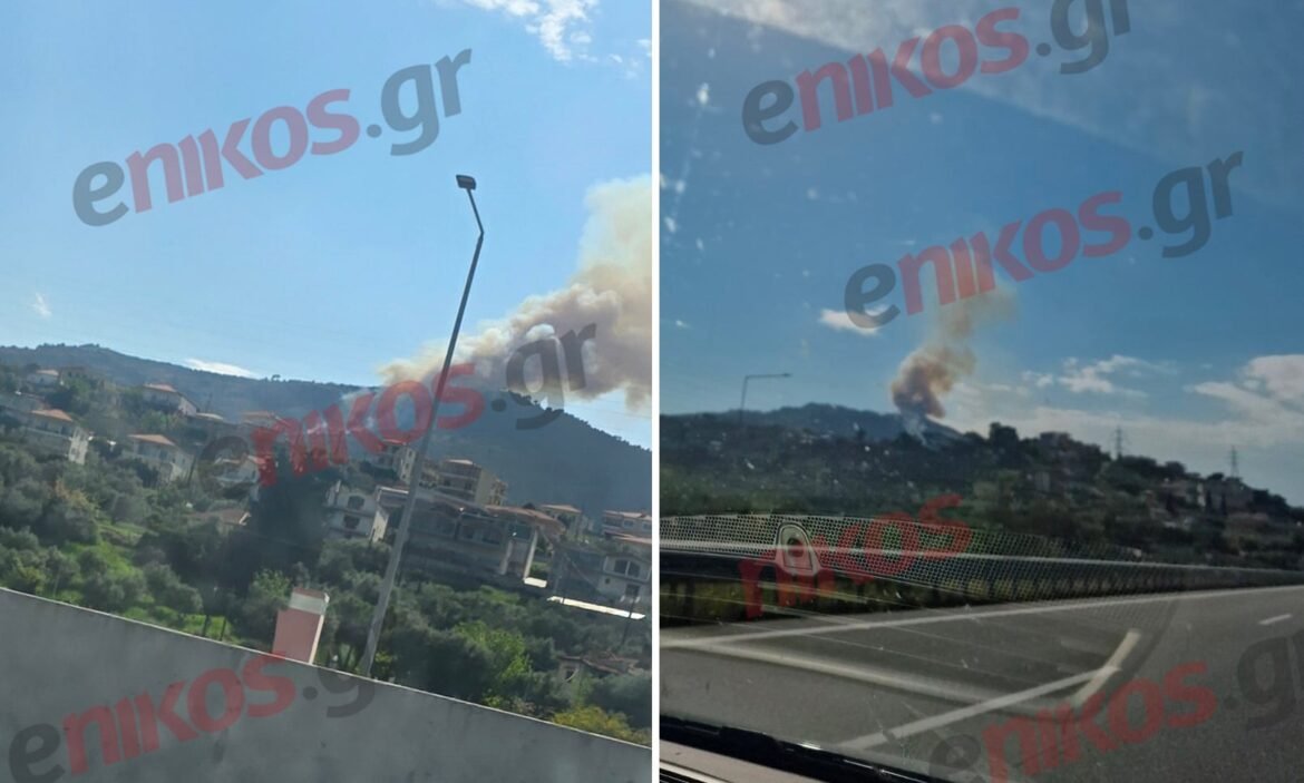 Φωτιά στην Ακράτα Αχαΐας – Μήνυμα του 112 για εκκένωση της περιοχής Άνω Ποροβίτσα