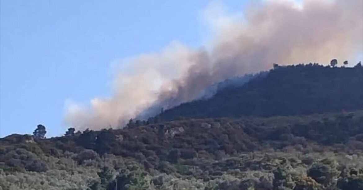 Φωτιά στην Άμπελο Αχαΐας – Στάλθηκε 112 να απομακρυνθούν προς Ακράτα