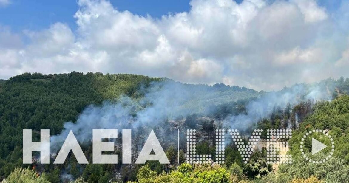 Φωτιά στην Ηλεία, ρίψεις νερού από ένα αεροσκάφος