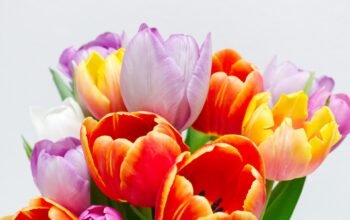 Εορτολόγιο: Ποιοι γιορτάζουν σήμερα 23 Απριλίου