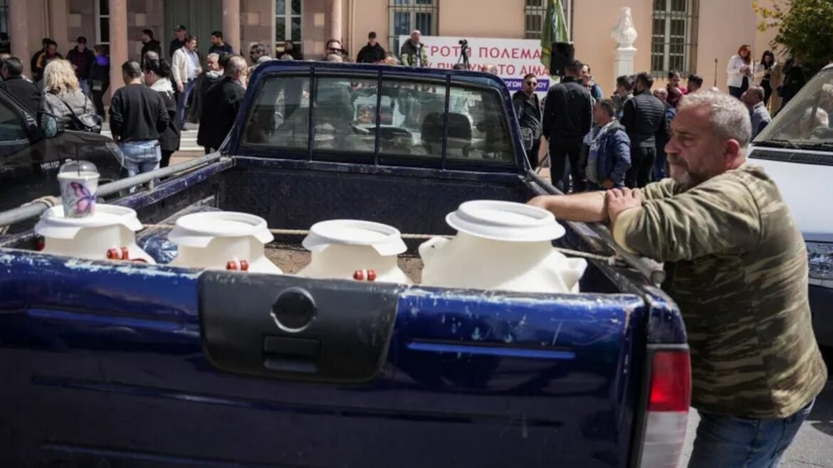 Ξεκινούν από την Παρασκευή οι τυροκόμοι της Λέσβου να παραλαμβάνουν γάλα από τους κτηνοτρόφους