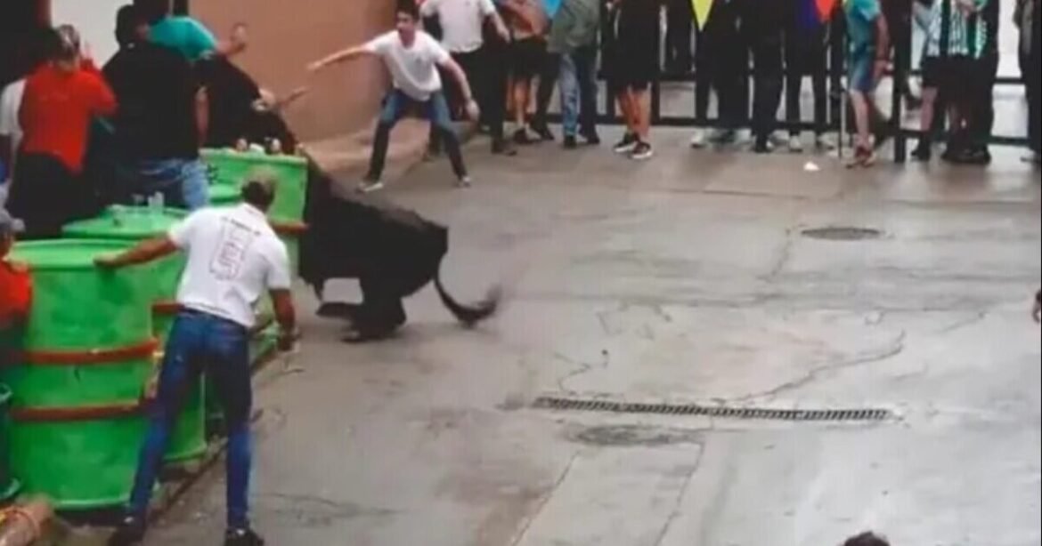 Τραγωδία στην Ισπανία: 33χρονος σκοτώθηκε από ταύρο σε πανηγύρι (Βίντεο)