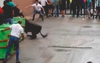 Τραγωδία στην Ισπανία: 33χρονος σκοτώθηκε από ταύρο σε πανηγύρι (Βίντεο)