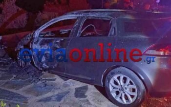 Βόρεια Εύβοια: Επέμβαση της Πυροσβεστικής για φωτιά σε αυτοκίνητο στην Ιστιαία – Δείτε φωτογραφίες