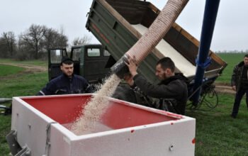 Ινδία: Πάνω από 900 δολάρια ο τόνος τα φωσφορικά λιπάσματα, σε διπλάσια τιμή η ουρία λόγω της κρίσης στη Μέση Ανατολή
