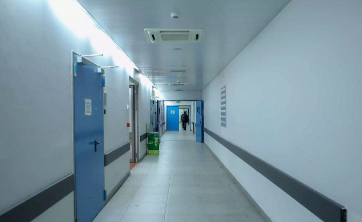 Λαμία: Οχιά δάγκωσε 75χρονο, νοσηλεύεται στη ΜΕΘ