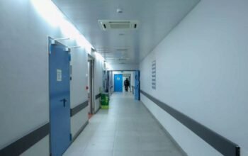 Λαμία: Οχιά δάγκωσε 75χρονο, νοσηλεύεται στη ΜΕΘ