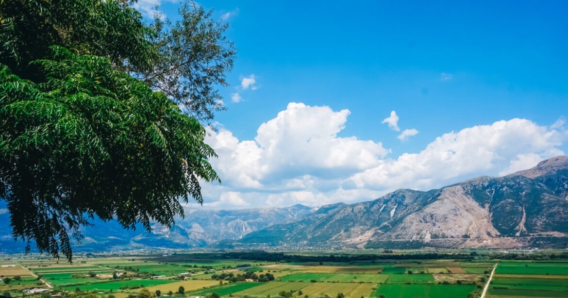 Σύστημα ιχνηλασιμότητας αγροδιατροφικών προϊόντων: Πώς θα εντοπίζονται παράνομες ελληνοποιήσεις