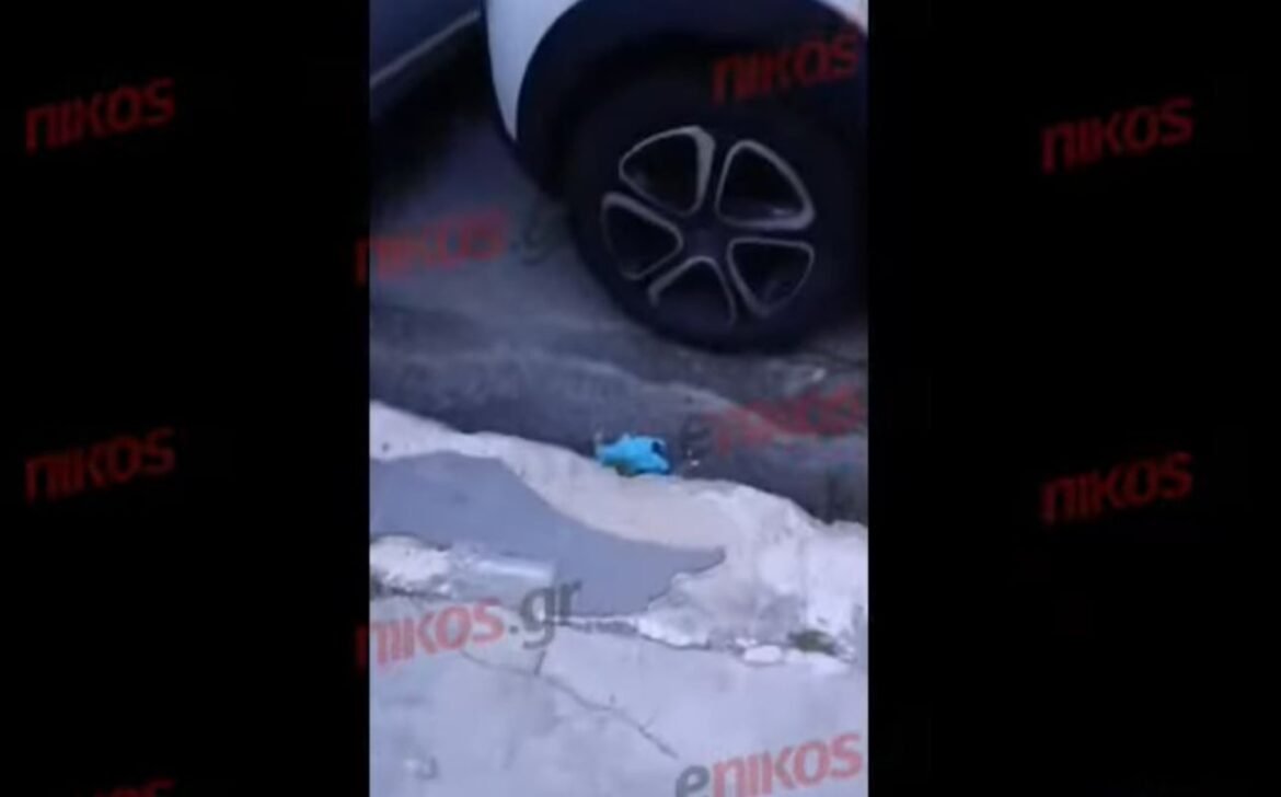 Μικρολίμανο: Βίντεο ντοκουμέντο από το σημείο μετά τους πυροβολισμούς