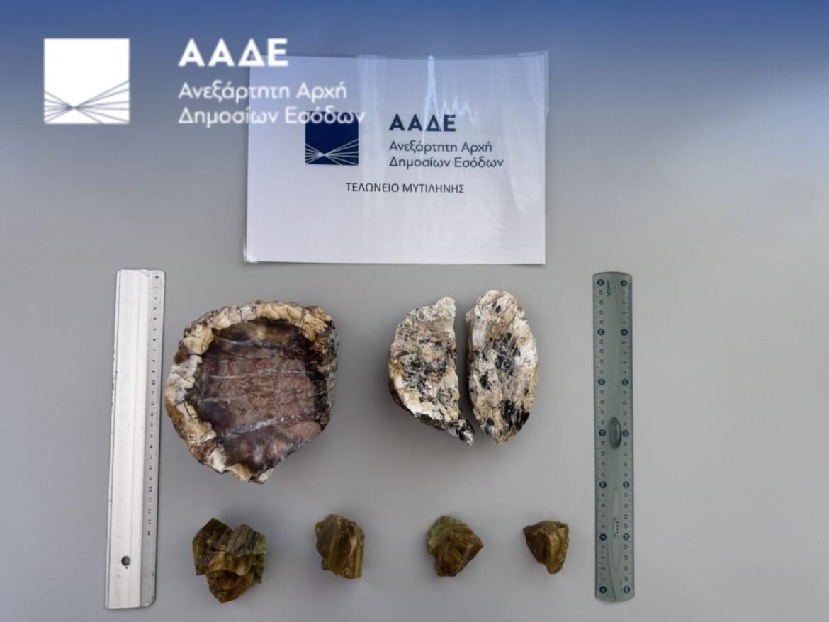 Λέσβος: Συνελήφθησαν στο αεροδρόμιο δύο Ολλανδοί με απολιθώματα από το Απολιθωμένο Δάσος
