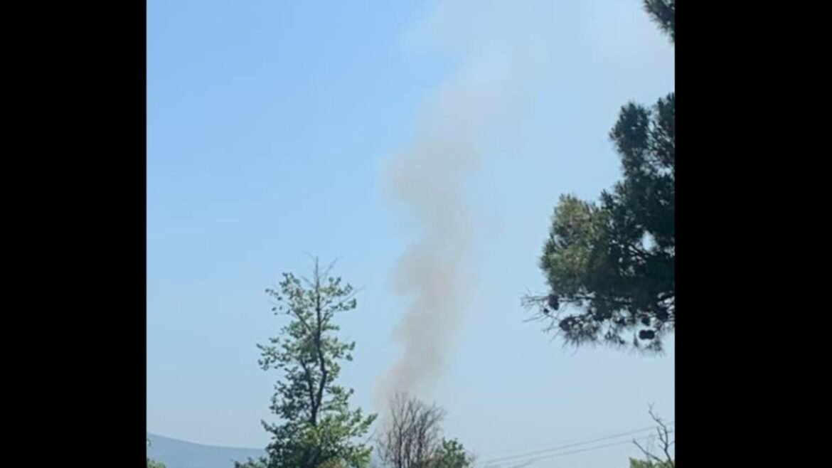 Φωτιά σε χαμηλή βλάστηση στο Κρυονέρι – Σπεύδουν δυνάμεις της Πυροσβεστικής