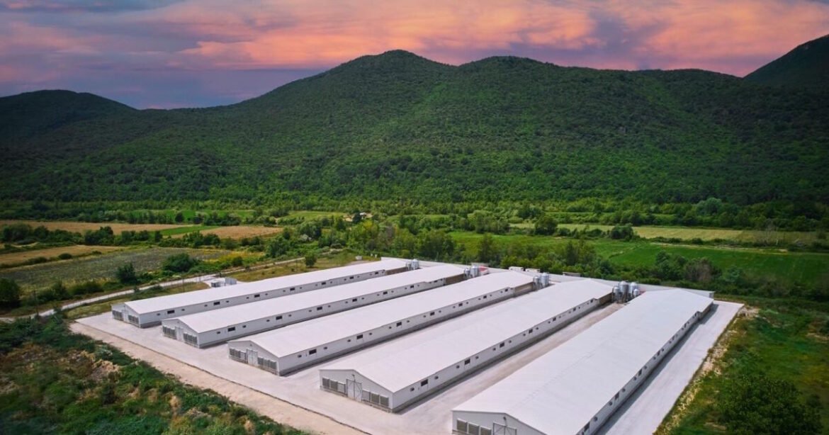 Η Νιτσιάκος εξαγοράζεται από την ΜΗΡ: Ποια είναι η ουκρανική εταιρεία που αποκτά το 70%