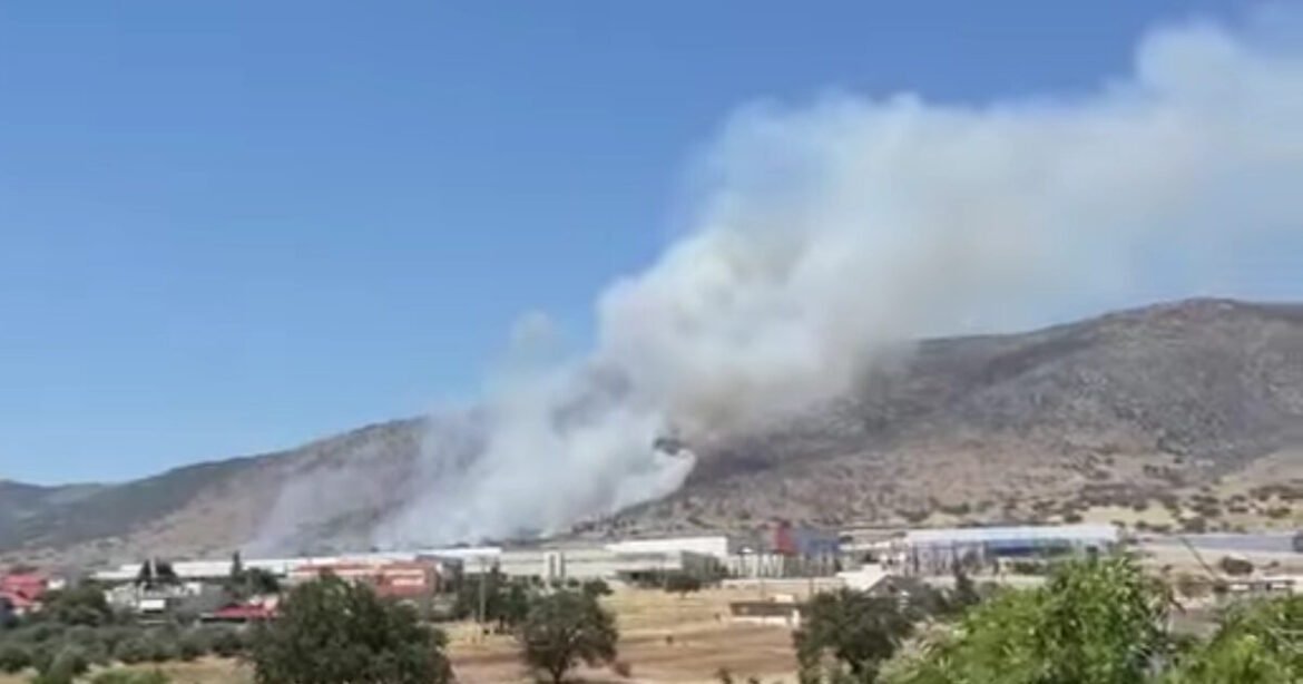 Φωτιά στον Ασπρόπυργο: Καίει σε χαμηλή βλάστηση, επιχειρούν εναέρια μέσα