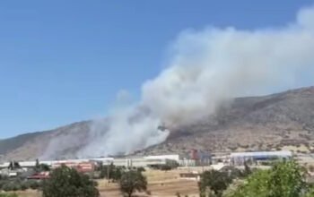 Φωτιά στον Ασπρόπυργο: Καίει σε χαμηλή βλάστηση, επιχειρούν εναέρια μέσα