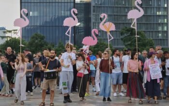 Η «επανάσταση των φλαμίνγκο»: Καθημερινές διαδηλώσεις στην Αλβανία για τις μπίζνες Κούσνερ-Ράμα