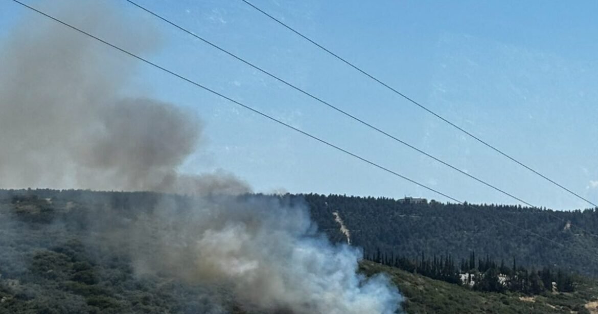 Φωτιά στα Πεύκα Θεσσαλονίκης: Καίει σε δασική περιοχή – Ήχησε το 112
