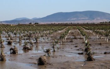 ΥπΑΑΤ: Πάνω από 67 εκατ. ευρώ για παραγωγούς που επλήγησαν από πυρκαγιές και πλημμύρες