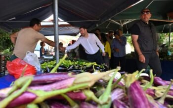 Ανδρουλάκης: Τρίτη τετραετία Νέας Δημοκρατίας σημαίνει τρίτη τετραετία ακρίβειας