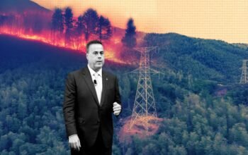 Αντιπυρικές ζώνες: Το ΥΠΕΝ και οι έξι εβδομάδες καθυστέρησης