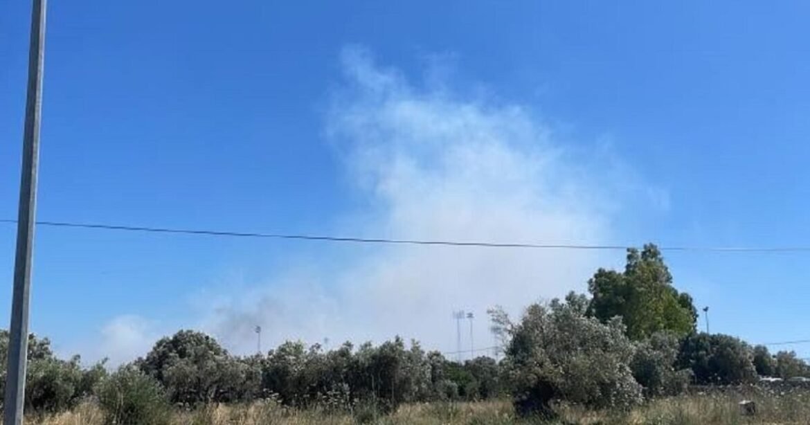 Φωτιά στον Ορχομενό Βοιωτίας – Και εναέρια μέσα στο σημείο