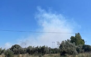 Φωτιά στον Ορχομενό Βοιωτίας – Και εναέρια μέσα στο σημείο
