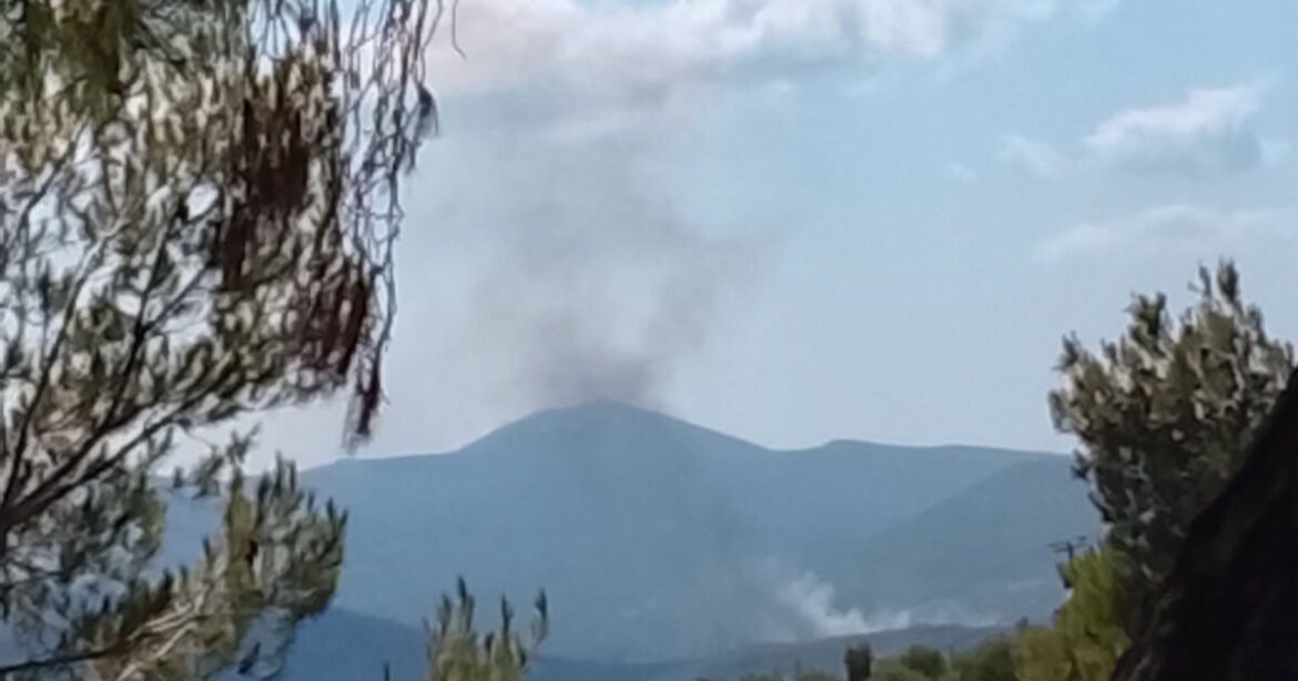Φωτιά στην Οινόη: Επιχειρούν 2 αεροσκάφη και 1 ελικόπτερο