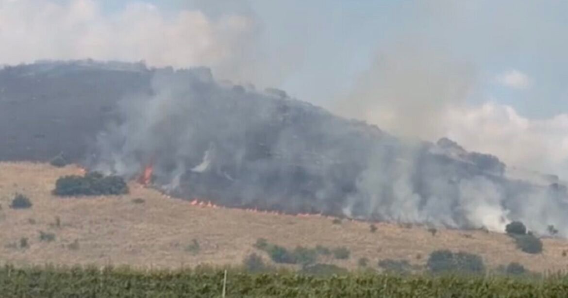 Φωτιά στον Αργυρόμυλο Λάρισας: Μάχη των πυροσβεστών με τους ισχυρούς ανέμους