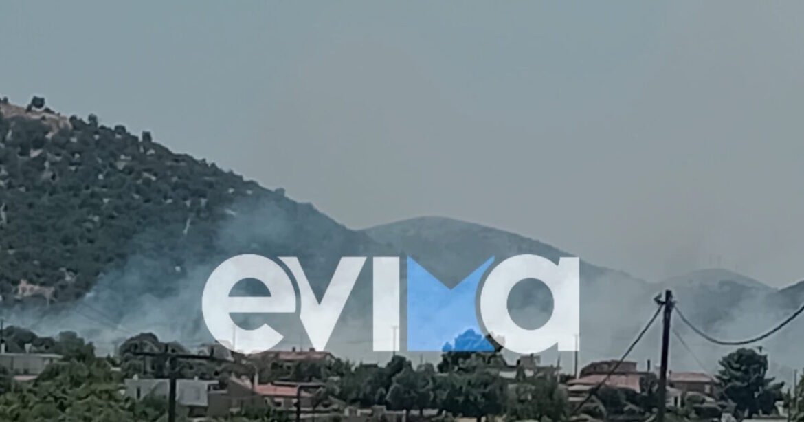 Φωτιά στο Αλιβέρι Εύβοιας: Ήχησε το 112 στην περιοχή Μηλάκι για «ετοιμότητα»