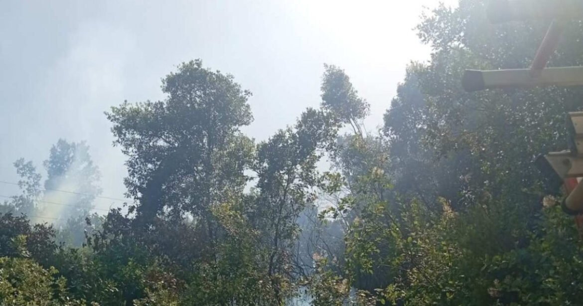 Φωτιά στην Κεφαλονιά: Ήχησε το 112, σηκώθηκαν και εναέρια μέσα – Πυρκαγιές και σε Αιτωλοακαρνανία, Ήπειρο και Λήμνο