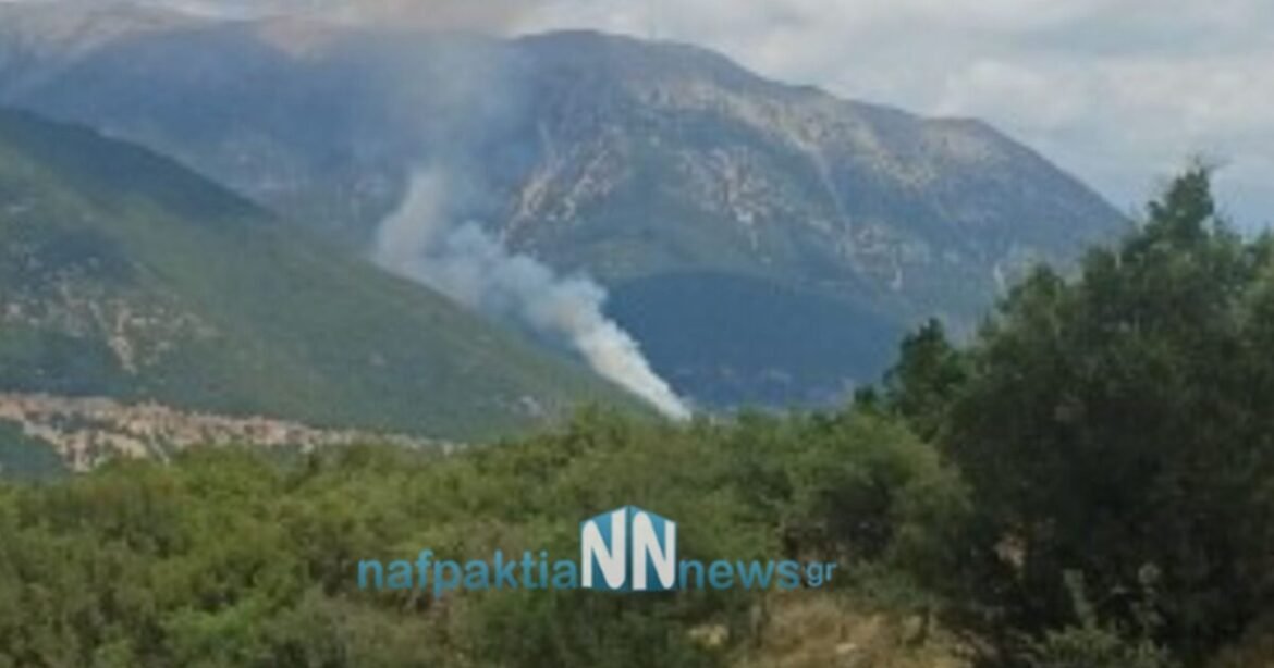 Φωτιά στο Ανθόφυτο Ναυπακτίας, επιχειρούν 6 εναέρια μέσα και 40 πυροσβέστες