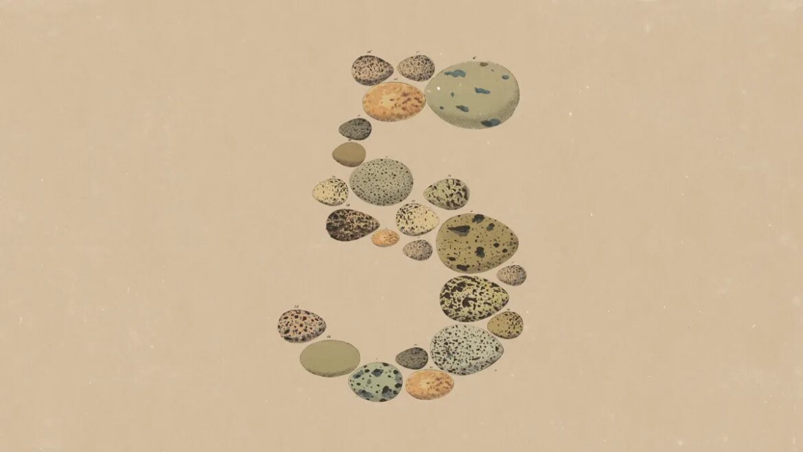 Claude Opus 5: Η Anthropic λανσάρει νέο AI μοντέλο με επιδόσεις Fable 5 και 50% χαμηλότερο κόστος ανά token