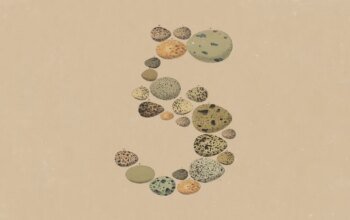 Claude Opus 5: Η Anthropic λανσάρει νέο AI μοντέλο με επιδόσεις Fable 5 και 50% χαμηλότερο κόστος ανά token