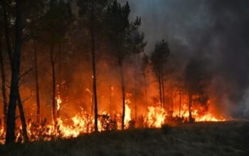 Η φωτιά στο Μπορντό απειλεί πυρηνικές εγκαταστάσεις – Εκκενώθηκαν μονάδες αμυντικής βιομηχανίας