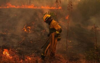 «Καμπανάκι» από την υπηρεσία της ΕΕ: Σε πύρινο κλοιό η Ευρώπη τις επόμενες ημέρες